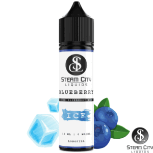 Steam City Flavour Shot Blueberry Ice 10ml / 60ml
