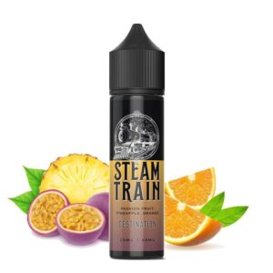 Steam Train – Destination 12 / 60ml
