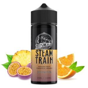 Steam Train – Destination 30/120ml