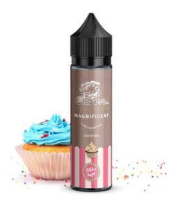 Steam Train – Magnificent 12 / 60ml