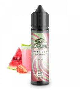 Steam Train – Turn Out 12 / 60ml