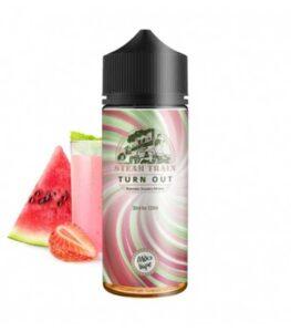 Steam Train – Turn Out 24/120ml