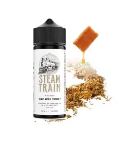 Steam Train One Way Ticket 24/120ml