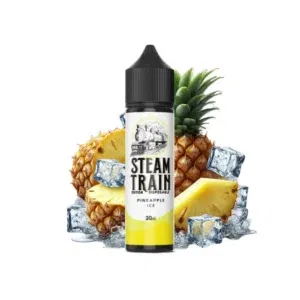 Steam Train Disposable Edition  Pineapple Ice 20 / 60ml
