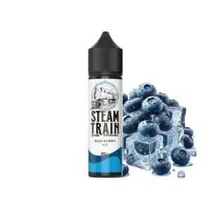 Steam Train Disposable Edition  Blueberry Ice 20 / 60ml