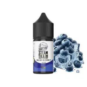 Steam Train Disposable Edition  Blueberry Ice 10/30ml
