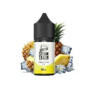Steam Train Disposable Edition  Pineapple Ice 10/30ml