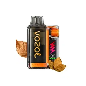 Vozol Vista Plug 20mg 2ml + 10ml Classic Tobacco (10.000 puffs)