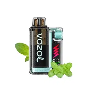Vozol Vista Plug 20mg 2ml + 10ml Miami Mint (10.000 puffs)